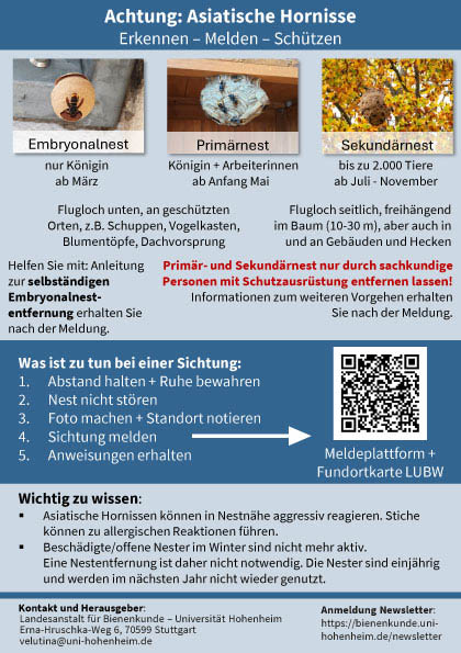 Flyer-DinA5-Velutina-LAB_fi_2